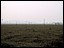 site1.jpg