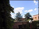 img_1828.jpg