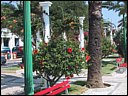 img_1964.jpg