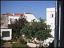 img_1974.jpg