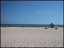 img_1980.jpg