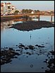 img_1992.jpg