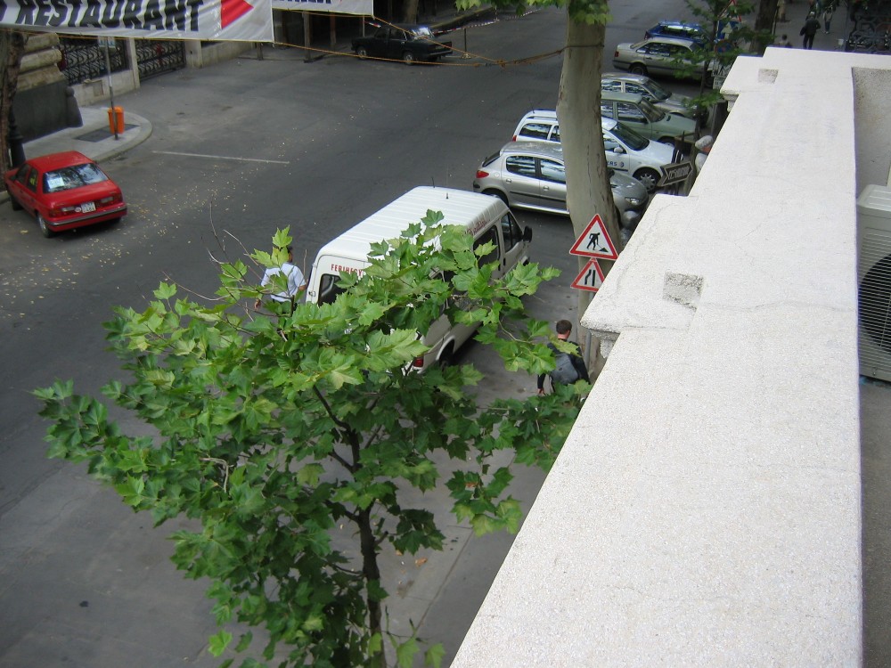img_2729.jpg