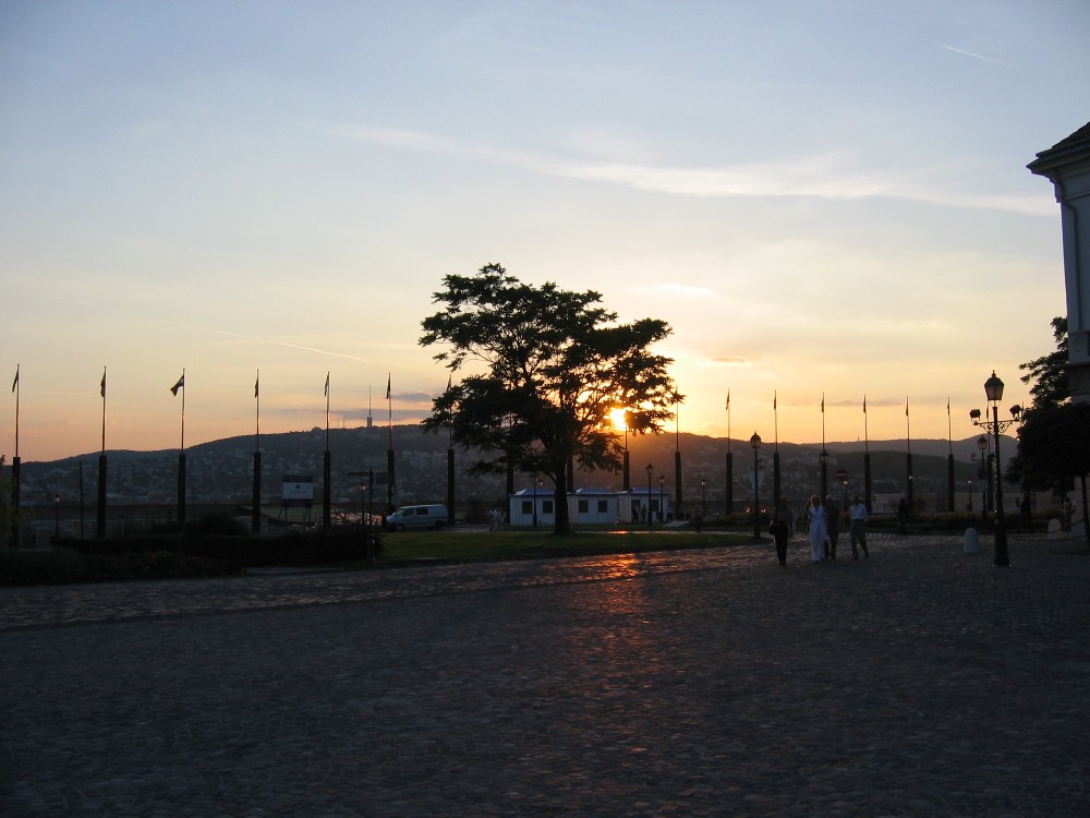 img_2809.jpg