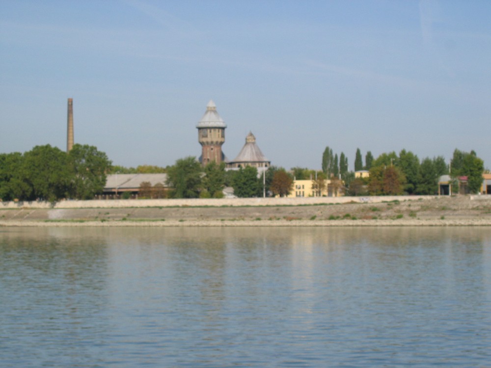 img_2902.jpg