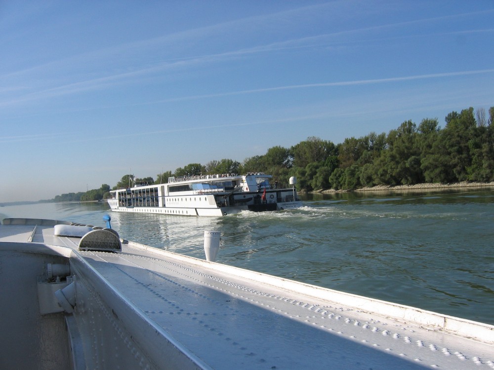 img_2908.jpg