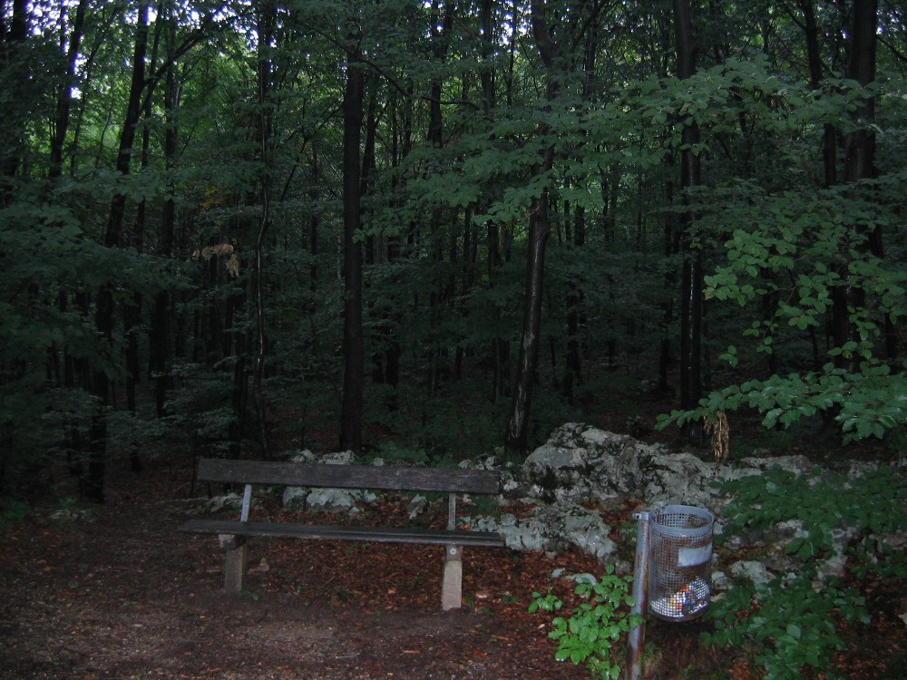 img_3128.jpg