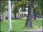 img_2747.jpg