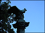img_2843.jpg