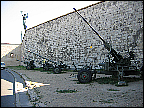 img_2850.jpg