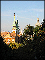 img_2875.jpg