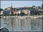 img_2895.jpg