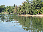img_2905.jpg