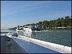 img_2908.jpg