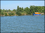 img_2956.jpg
