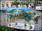 img_3081.jpg