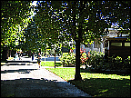 img_3183.jpg